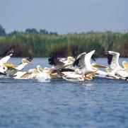 alle Donau Delta Kreuzfahrten