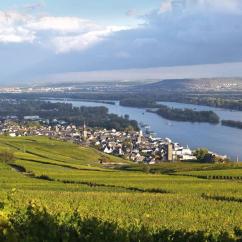 8 Tage Höhepunkte auf dem Rhein
