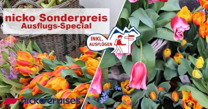 facebook ausflug tulpen