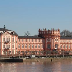 nicko Vorteilspreis 6 Tage Vielfältige Schönheit auf dem Rhein